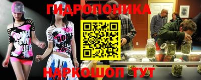 apvp Канаш