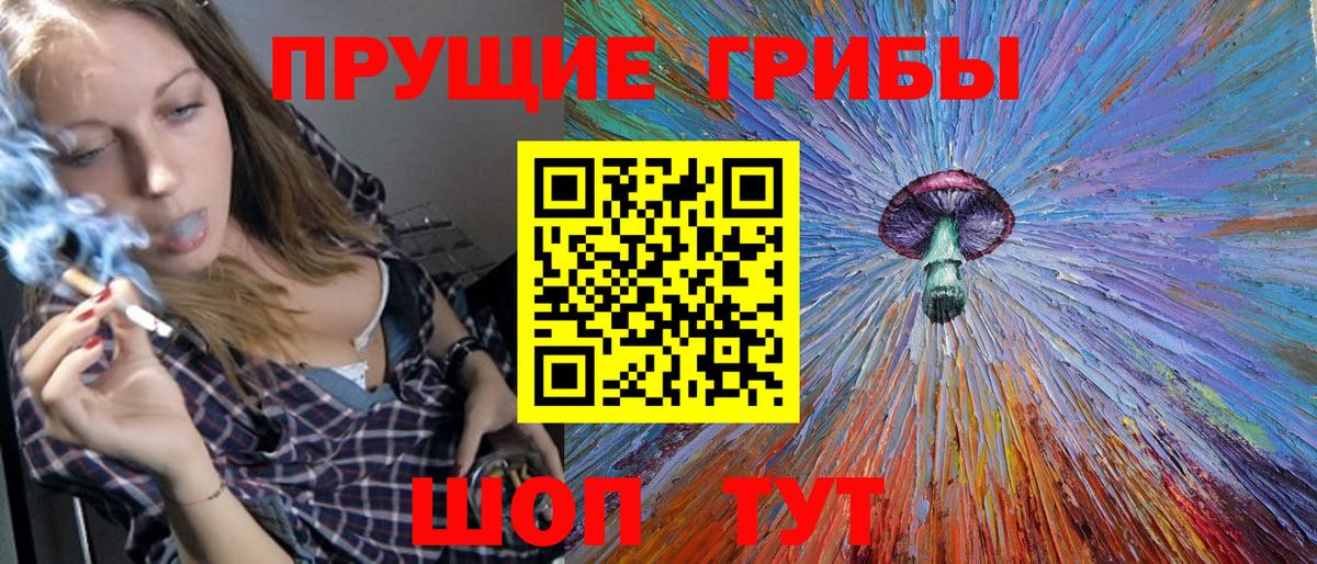 Галлюциногенные грибы Cubensis Дальнегорск