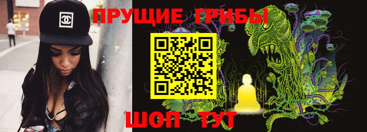 Псилоцибиновые грибы мицелий  Вход с VPN  Дальнегорск  Псилоцибиновые грибы Magic Shrooms 